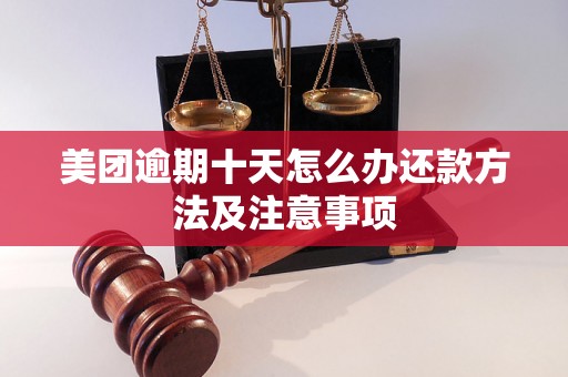 美团逾期十天怎么办还款方法及注意事项