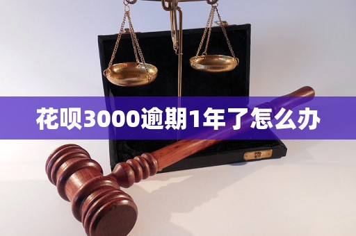 花呗3000逾期1年了怎么办