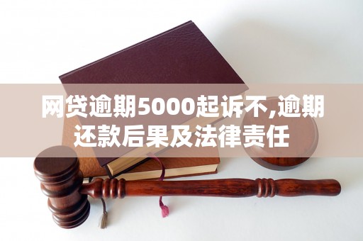 网贷逾期5000起诉不,逾期还款后果及法律责任