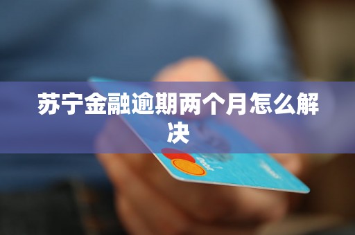 苏宁金融逾期两个月怎么解决