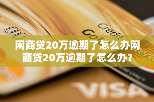 网商贷20万逾期了怎么办网商贷20万逾期了怎么办？