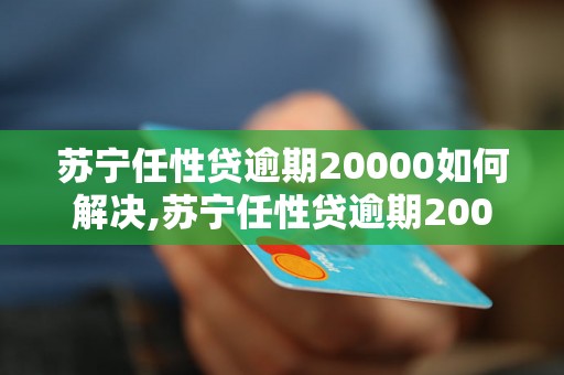 苏宁任性贷逾期20000如何解决,苏宁任性贷逾期20000的后果