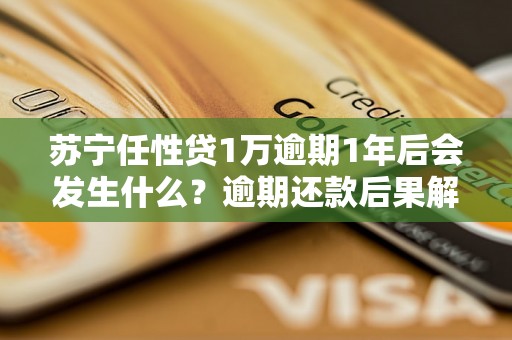 苏宁任性贷1万逾期1年后会发生什么？逾期还款后果解析