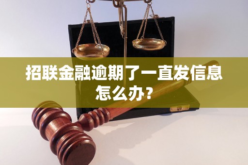 招联金融逾期了一直发信息怎么办？