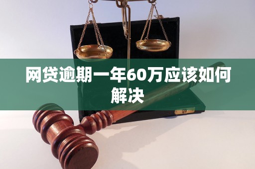 网贷逾期一年60万应该如何解决