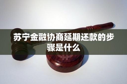 苏宁金融协商延期还款的步骤是什么