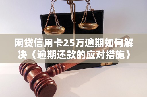 网贷信用卡25万逾期如何解决（逾期还款的应对措施）