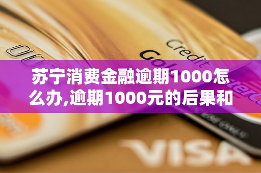 苏宁消费金融逾期1000怎么办,逾期1000元的后果和解决方法