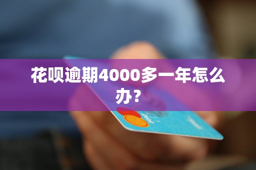 花呗逾期4000多一年怎么办？