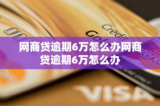 网商贷逾期6万怎么办网商贷逾期6万怎么办