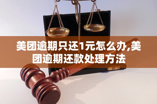 美团逾期只还1元怎么办,美团逾期还款处理方法