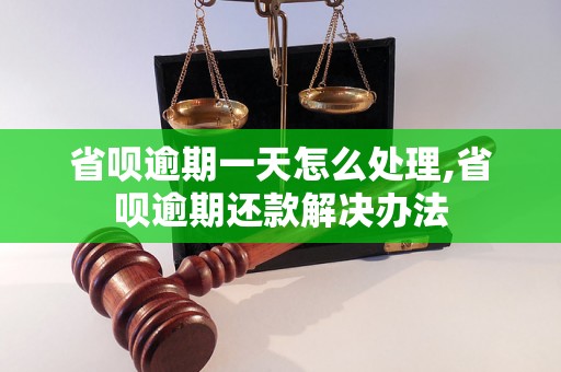 省呗逾期一天怎么处理,省呗逾期还款解决办法