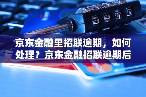 京东金融里招联逾期，如何处理？京东金融招联逾期后果及处理方法解析