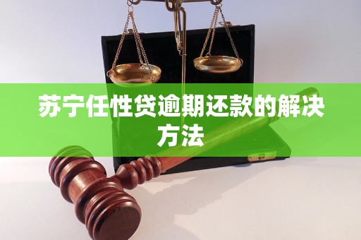 苏宁任性贷逾期还款的解决方法