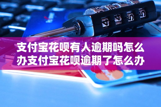 支付宝花呗有人逾期吗怎么办支付宝花呗逾期了怎么办