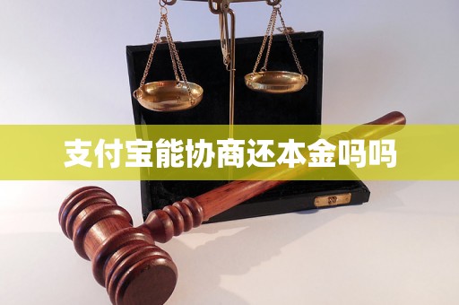 支付宝能协商还本金吗吗