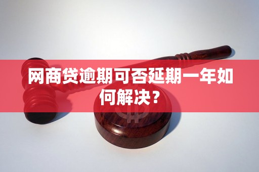 网商贷逾期可否延期一年如何解决？