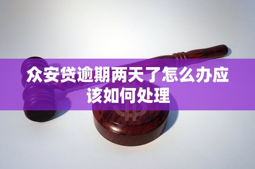 众安贷逾期两天了怎么办应该如何处理