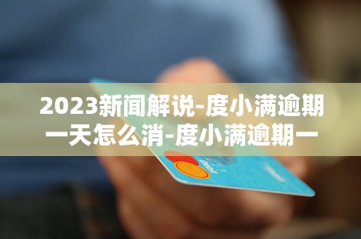 2023新闻解说-度小满逾期一天怎么消-度小满逾期一天了会怎么样「4月实时推荐」