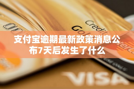 支付宝逾期最新政策消息公布7天后发生了什么