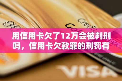 用信用卡欠了12万会被判刑吗，信用卡欠款罪的刑罚有哪些