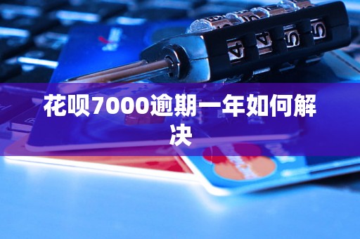 花呗7000逾期一年如何解决