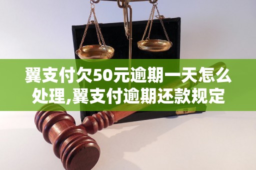 翼支付欠50元逾期一天怎么处理,翼支付逾期还款规定及费用