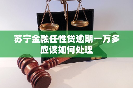 苏宁金融任性贷逾期一万多应该如何处理