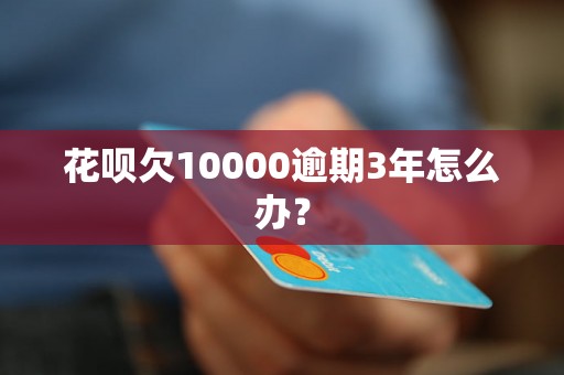 花呗欠10000逾期3年怎么办？