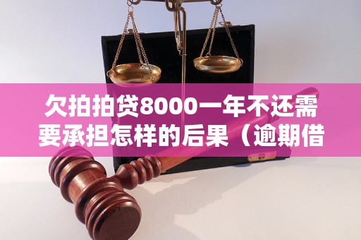 欠拍拍贷8000一年不还需要承担怎样的后果（逾期借款的法律责任与处理方式）