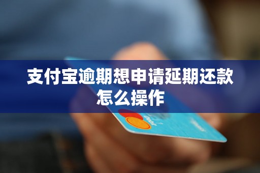 支付宝逾期想申请延期还款怎么操作