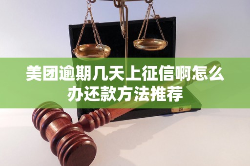 美团逾期几天上征信啊怎么办还款方法推荐