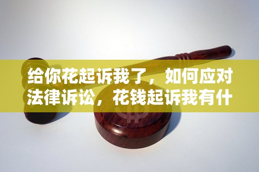 给你花起诉我了，如何应对法律诉讼，花钱起诉我有什么后果