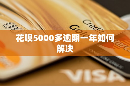 花呗5000多逾期一年如何解决