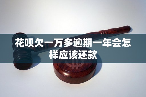 花呗欠一万多逾期一年会怎样应该还款