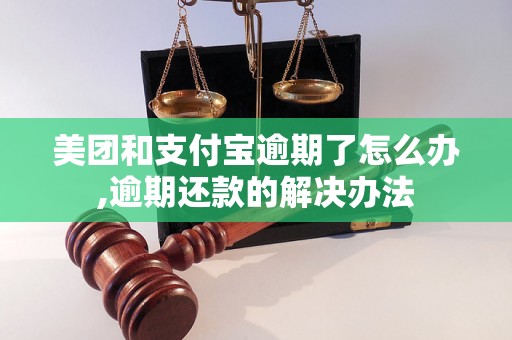 美团和支付宝逾期了怎么办,逾期还款的解决办法