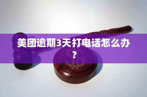 美团逾期3天打电话怎么办？