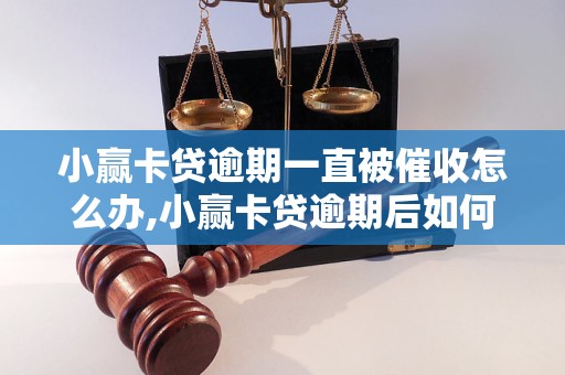 小赢卡贷逾期一直被催收怎么办,小赢卡贷逾期后如何处理