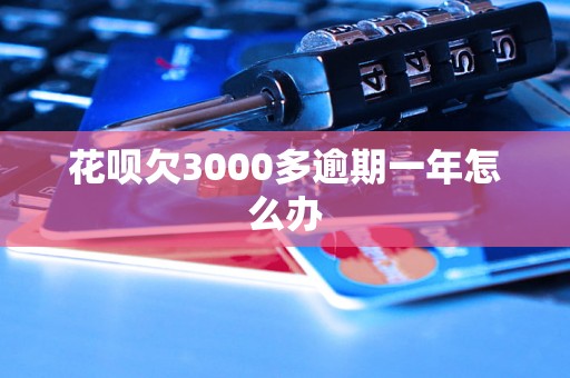 花呗欠3000多逾期一年怎么办