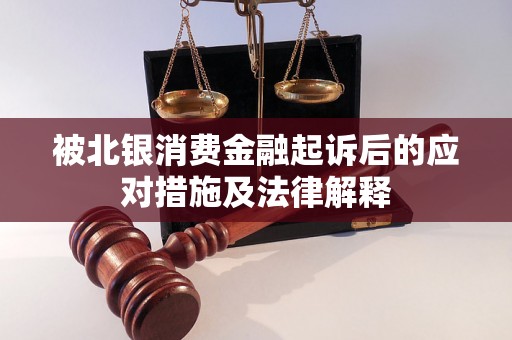 被北银消费金融起诉后的应对措施及法律解释