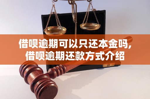 借呗逾期可以只还本金吗,借呗逾期还款方式介绍