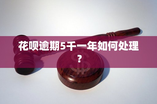 花呗逾期5千一年如何处理？