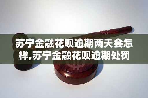 苏宁金融花呗逾期两天会怎样,苏宁金融花呗逾期处罚措施