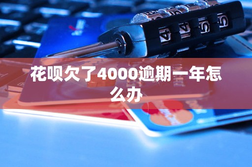 花呗欠了4000逾期一年怎么办