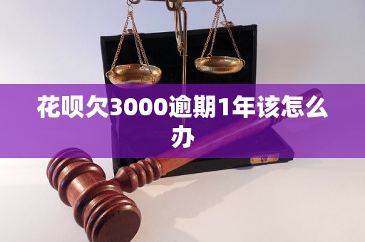 花呗欠3000逾期1年该怎么办