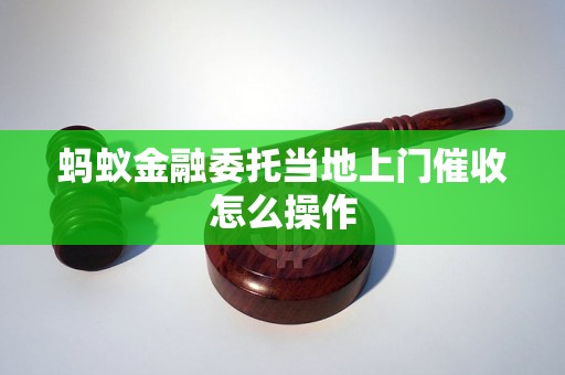 蚂蚁金融委托当地上门催收怎么操作