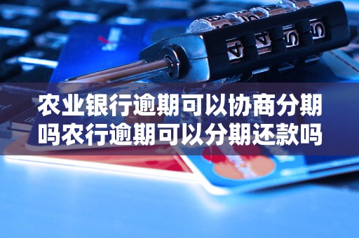 农业银行逾期可以协商分期吗农行逾期可以分期还款吗