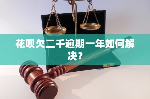 花呗欠二千逾期一年如何解决？