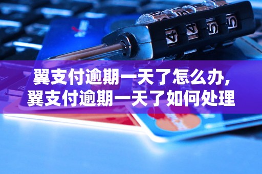 翼支付逾期一天了怎么办,翼支付逾期一天了如何处理