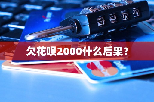 欠花呗2000什么后果？